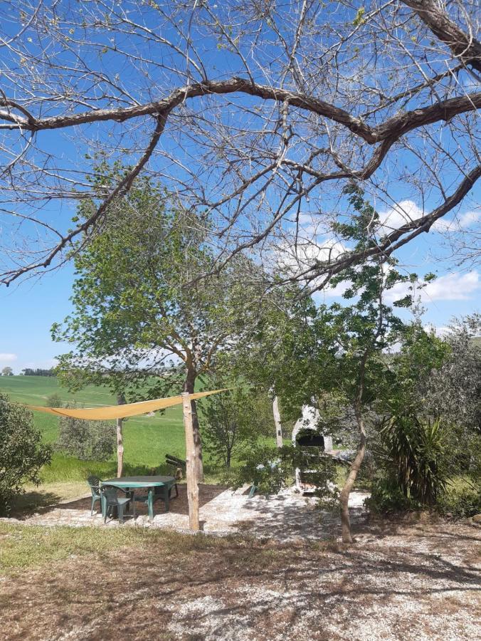 מונטמראנו Agriturismo La Locandiera מראה חיצוני תמונה
