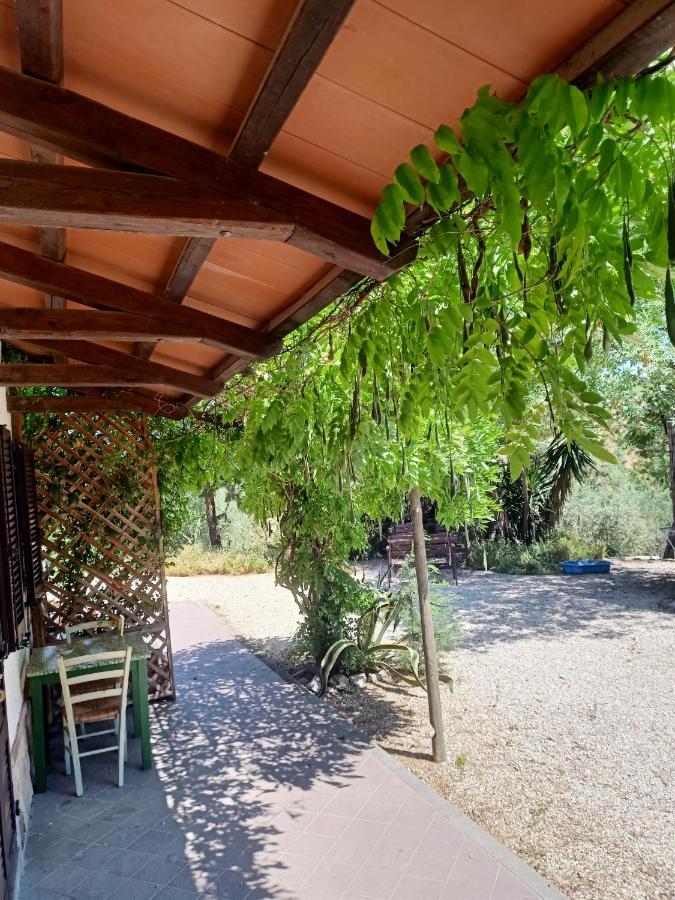 מונטמראנו Agriturismo La Locandiera מראה חיצוני תמונה