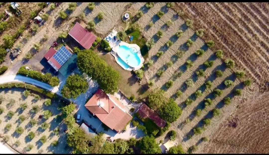 מונטמראנו Agriturismo La Locandiera מראה חיצוני תמונה
