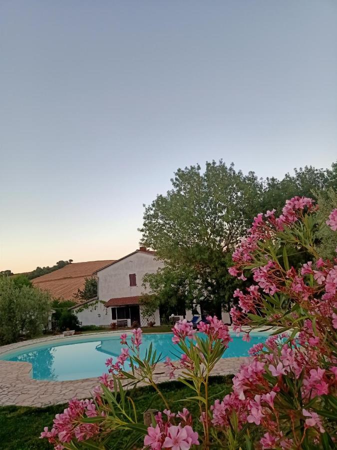 מונטמראנו Agriturismo La Locandiera מראה חיצוני תמונה