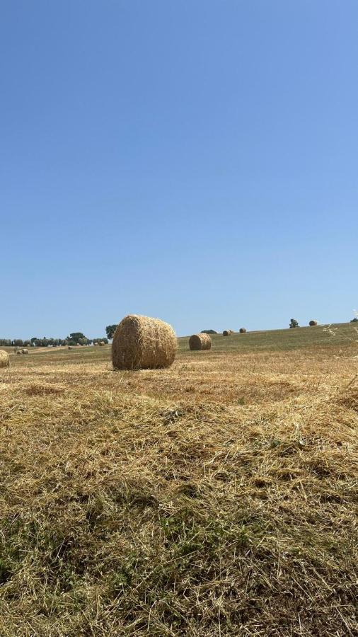 מונטמראנו Agriturismo La Locandiera מראה חיצוני תמונה
