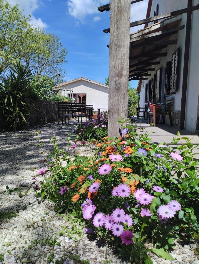 מונטמראנו Agriturismo La Locandiera מראה חיצוני תמונה